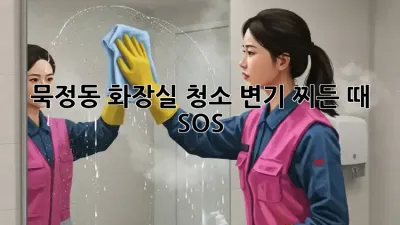 🚽✨ 묵정동 화장실 청소, 변기 찌든 때 SOS! 🚨