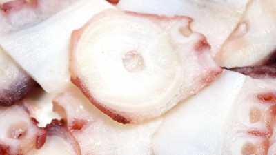놓치면 후회! 시세2 역대급 할인 & 솔직 후기 📢