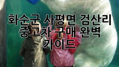 화순군 사평면 검산리 중고차 구매 완벽 가이드