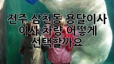 전주 삼천동 용달이사, 이사 차량 어떻게 선택할까요? 🤔