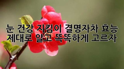 눈 건강 지킴이! 결명자차 효능 제대로 알고 똑똑하게 고르자